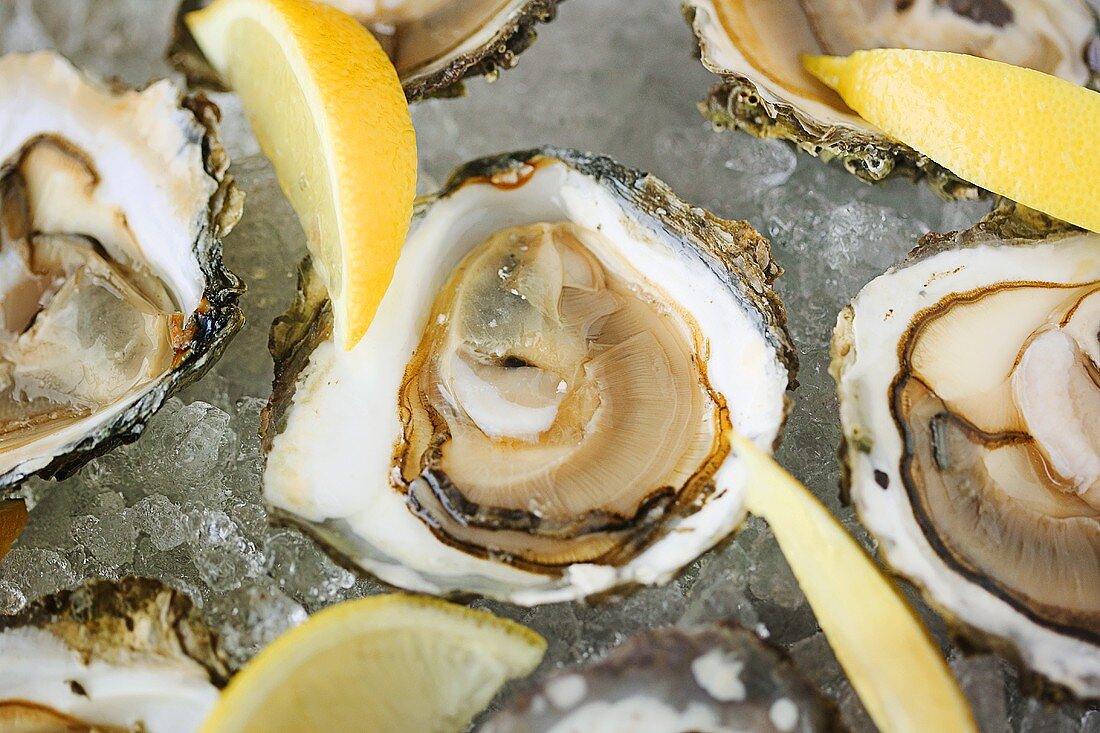 Oysters with lemon on ice