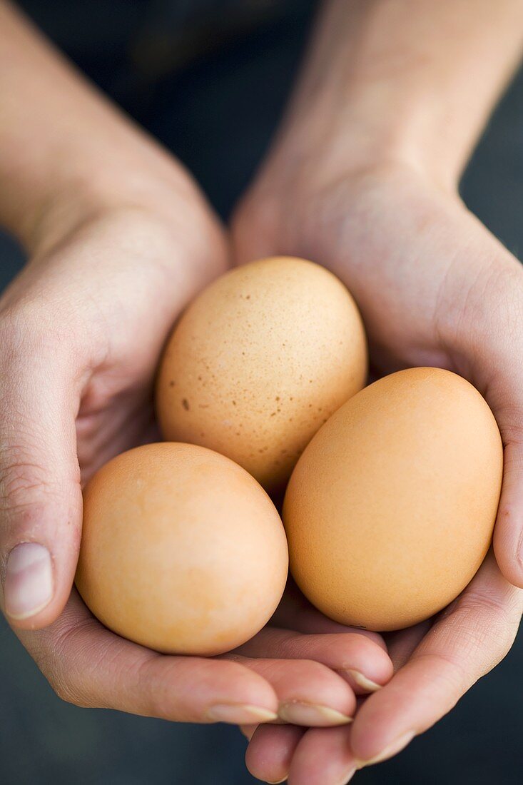 Three eggs in someone's hands