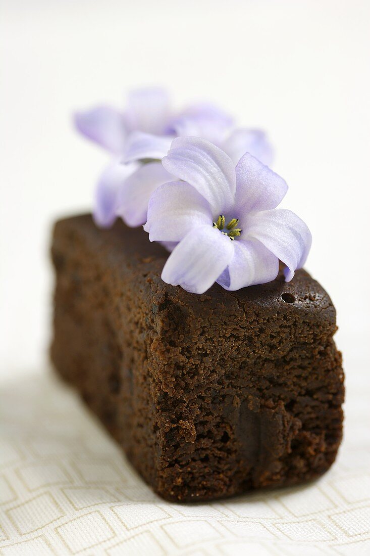 Brownie with flower
