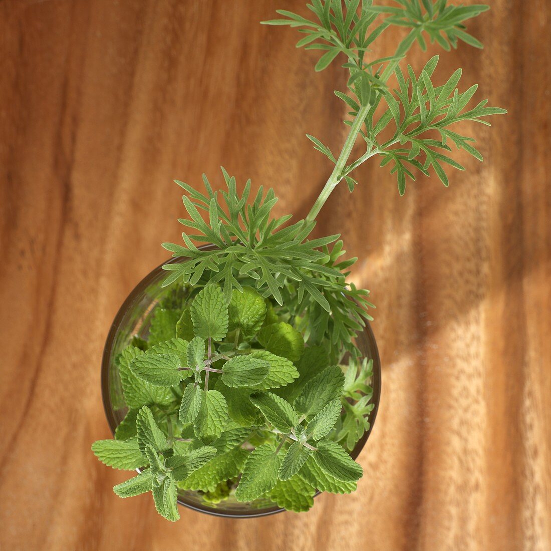 Culinary herbs in a glass