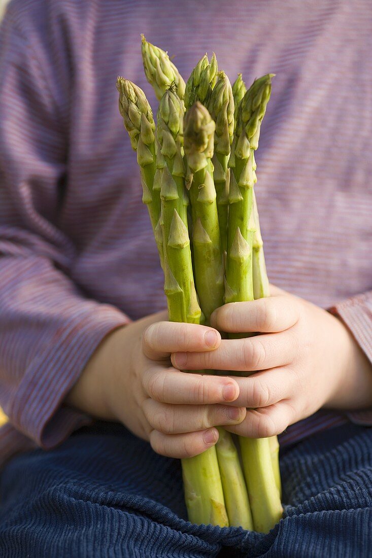 Kind hält grünen Spargel in den Händen