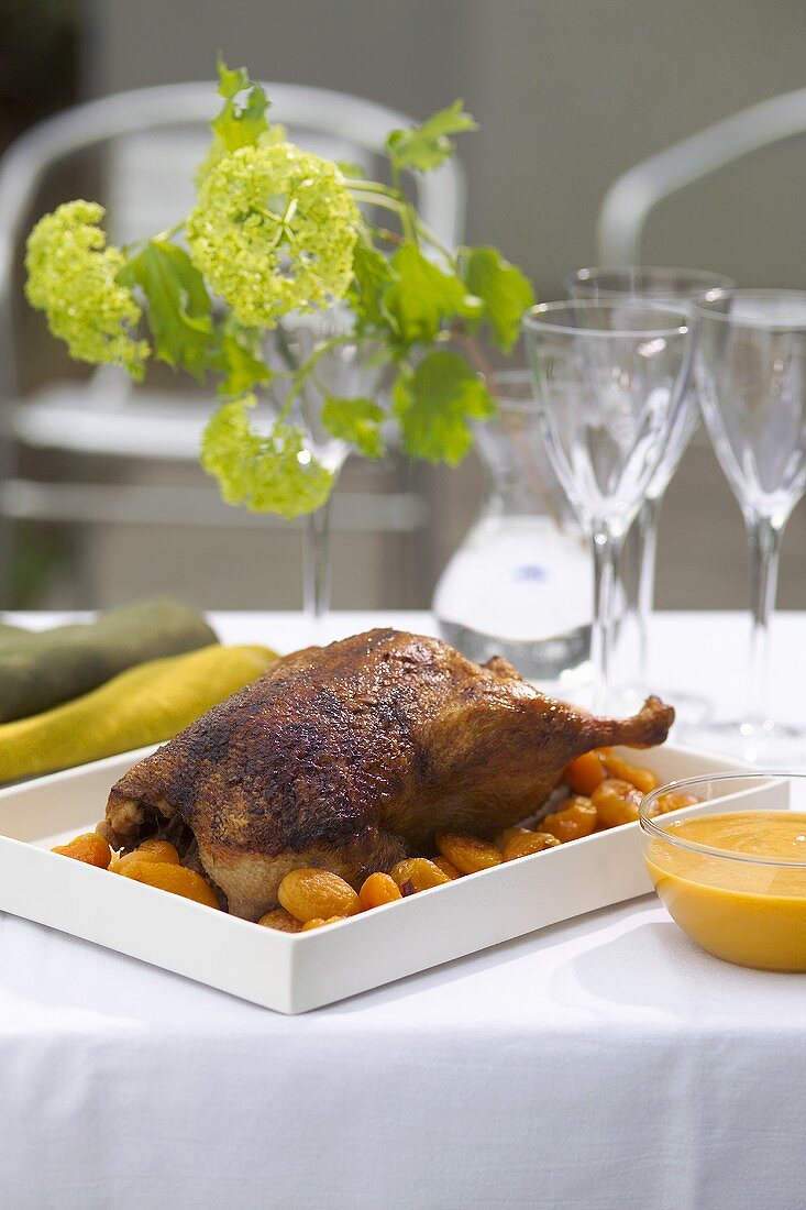 Roast duck with apricots