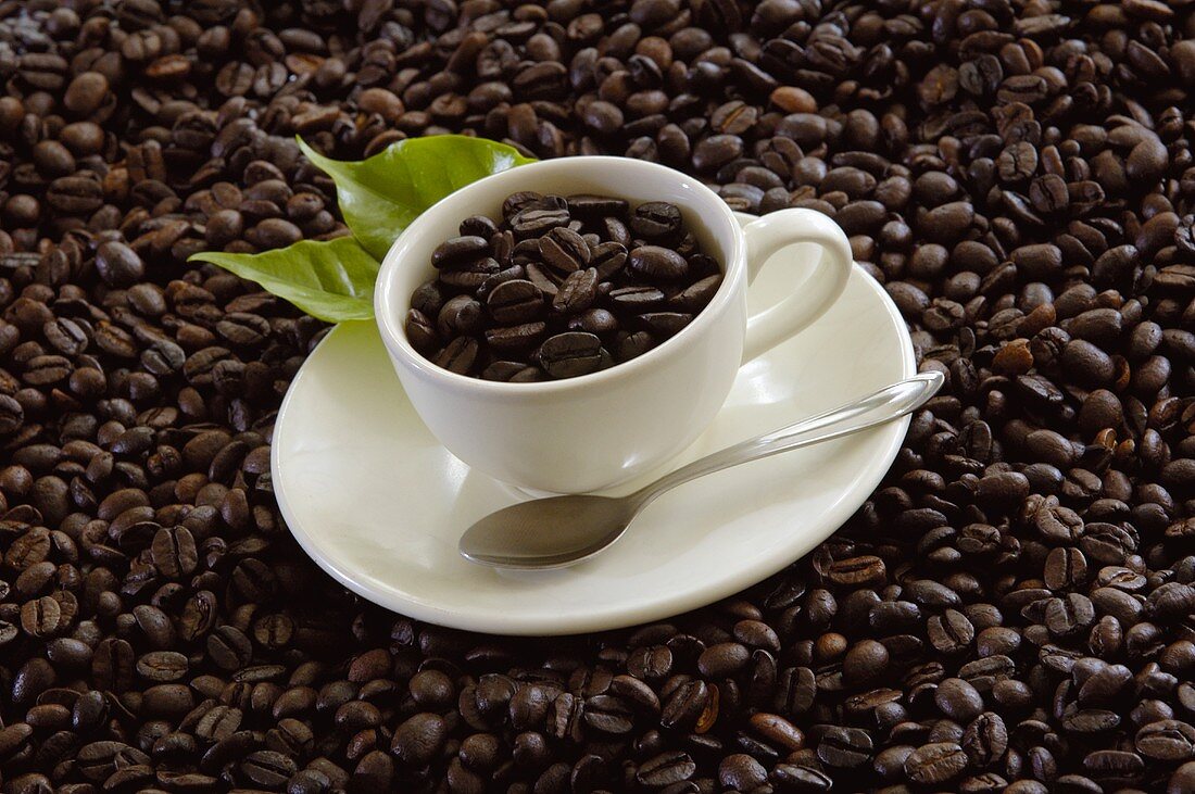 Kaffeebohnen in der Tasse und im Hintergrund