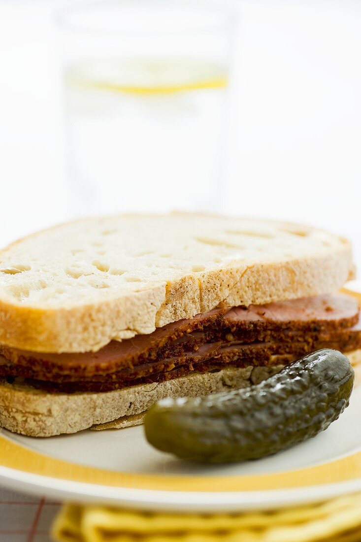 Pastrami sandwich with gherkin