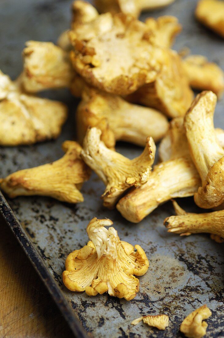 Fresh chanterelles