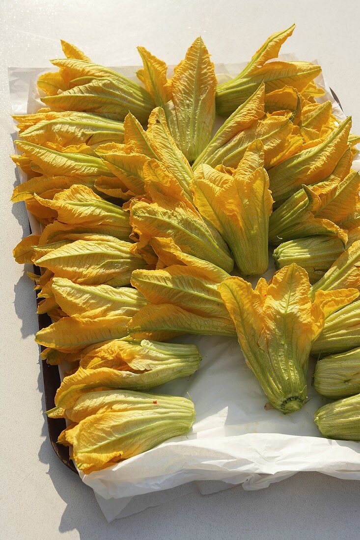 Courgette flowers