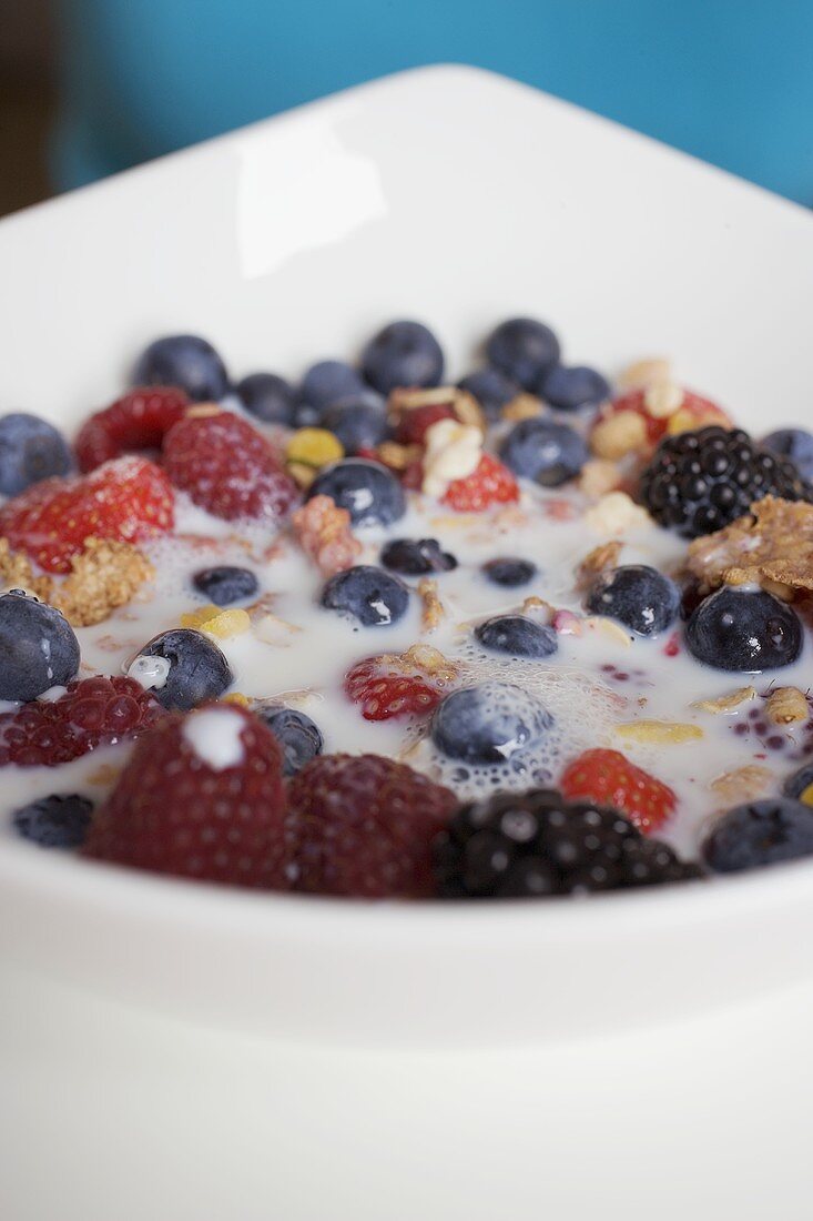 Muesli with berries and milk