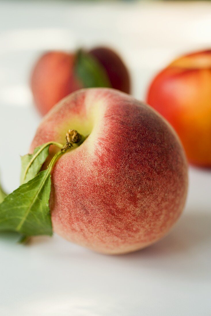 A peach with nectarines in the background