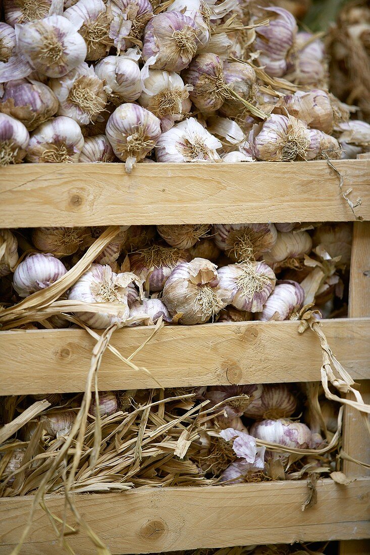 Garlic in a crate