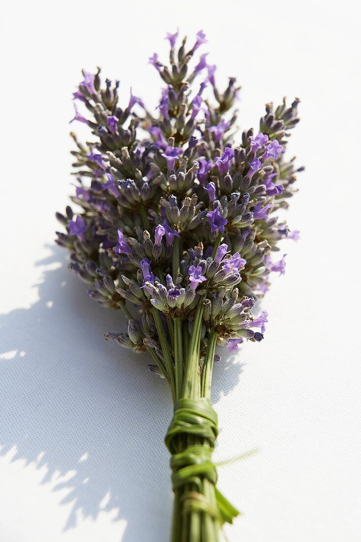 A bunch of lavender