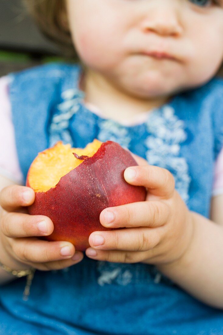 Small girl holding a nectarine with bites taken