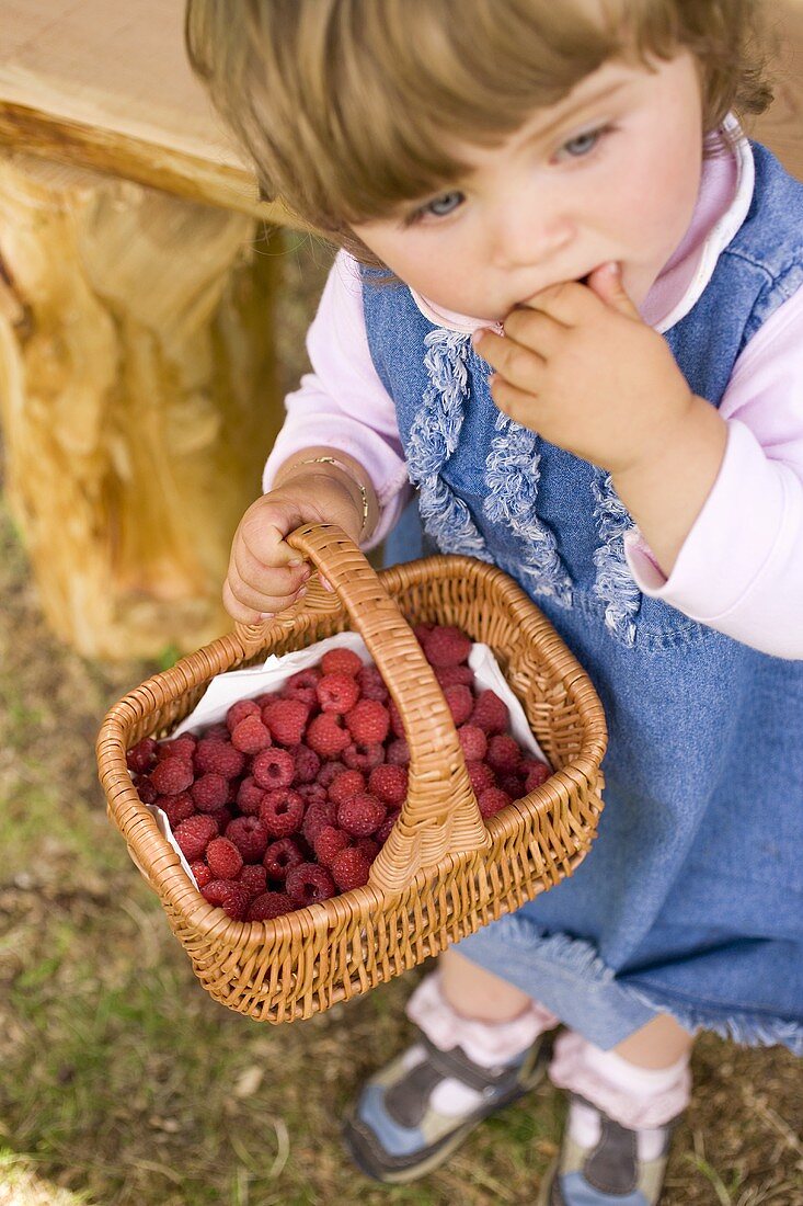 Small girl holding a basket of raspberries