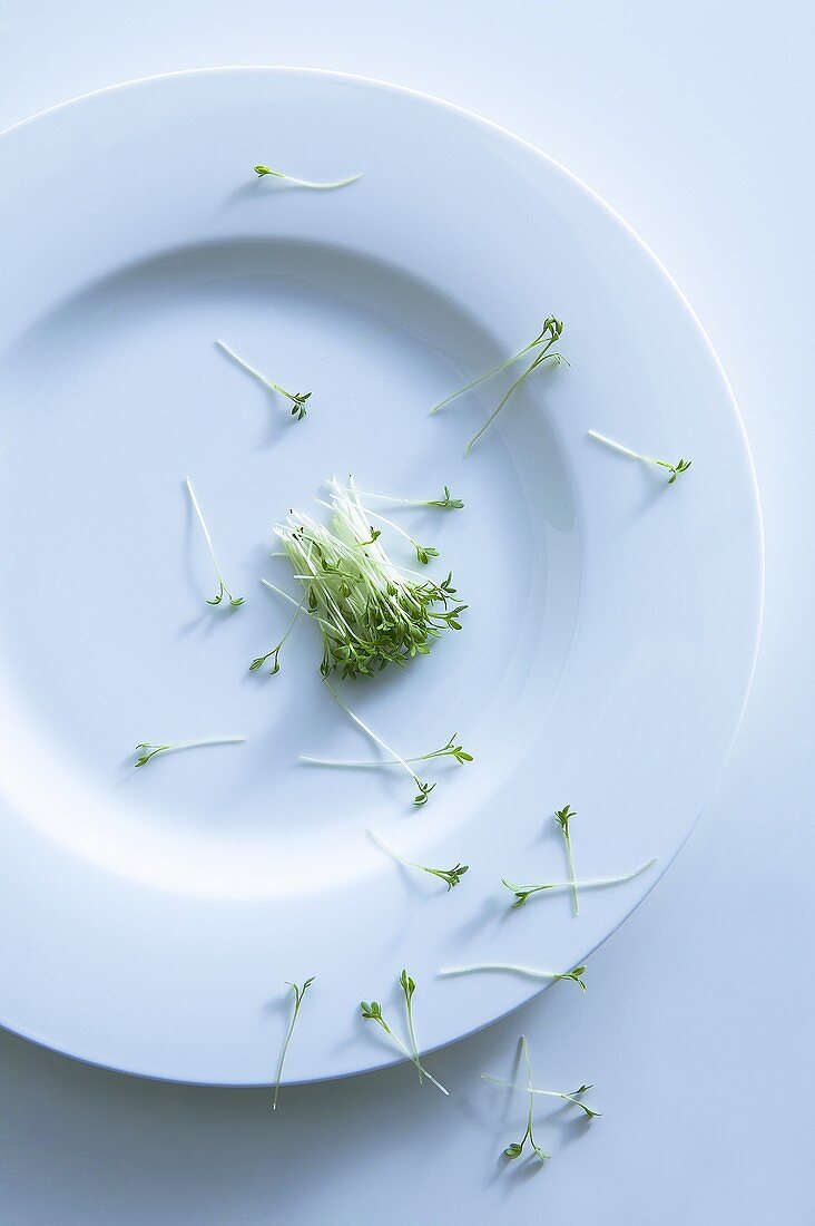 Fresh cress scattered over a plate