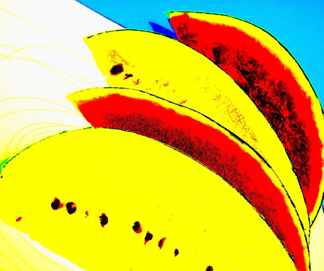 Vier Melonenspalten