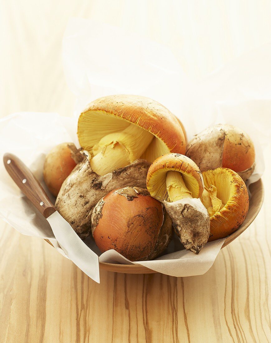 Caesar's mushrooms in a wooden bowl