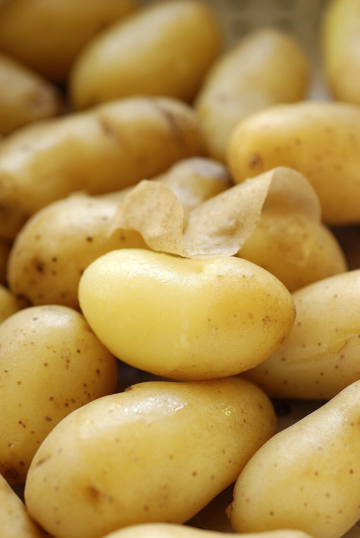 Gedämpfte Kartoffeln
