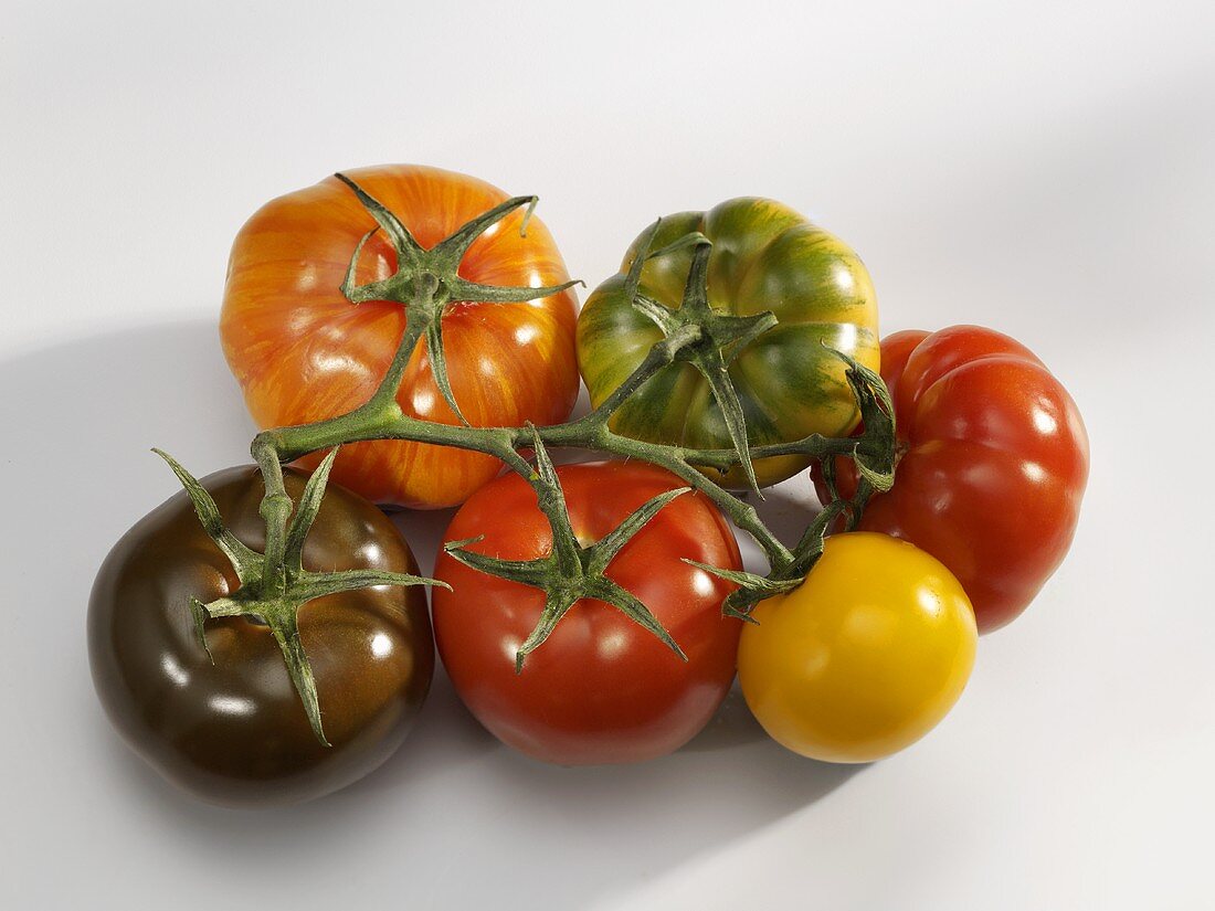 Different tomatoes on the same truss