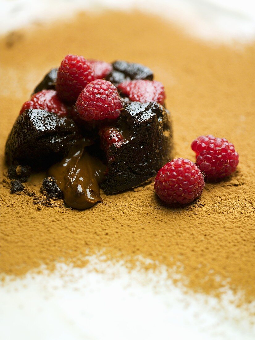 Schokoladen-Himbeer-Pudding