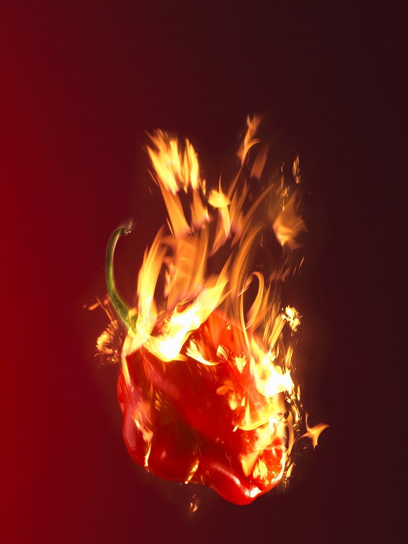 A burning chilli pepper