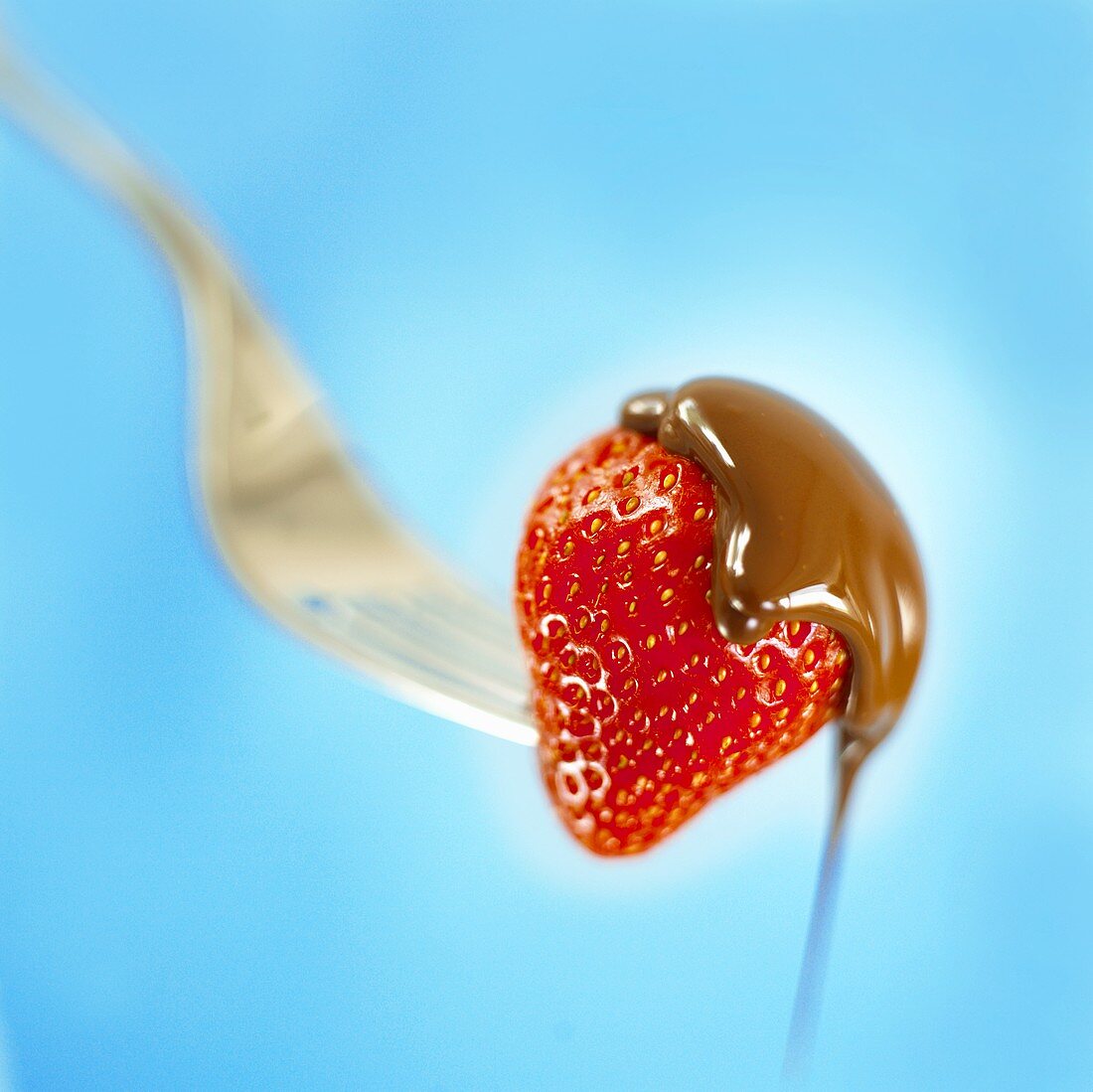 Flüssige Schokolade fließt von einer Erdbeere
