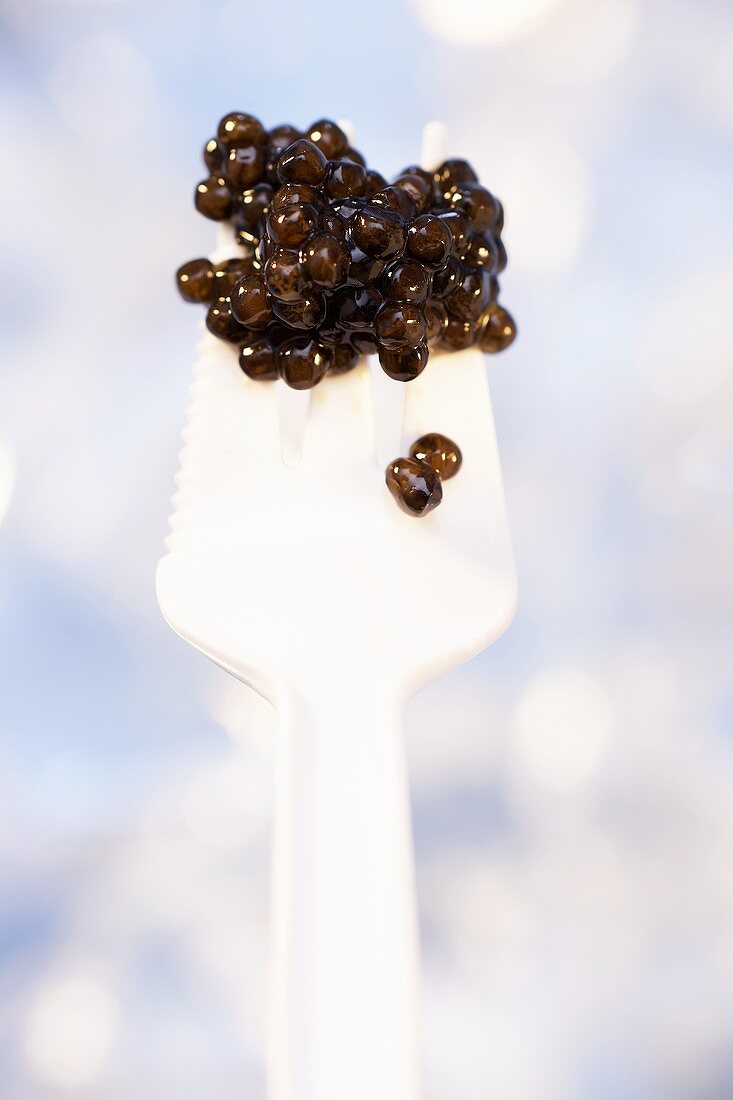 Osietra-Kaviar auf weißer Plastik-Gabel