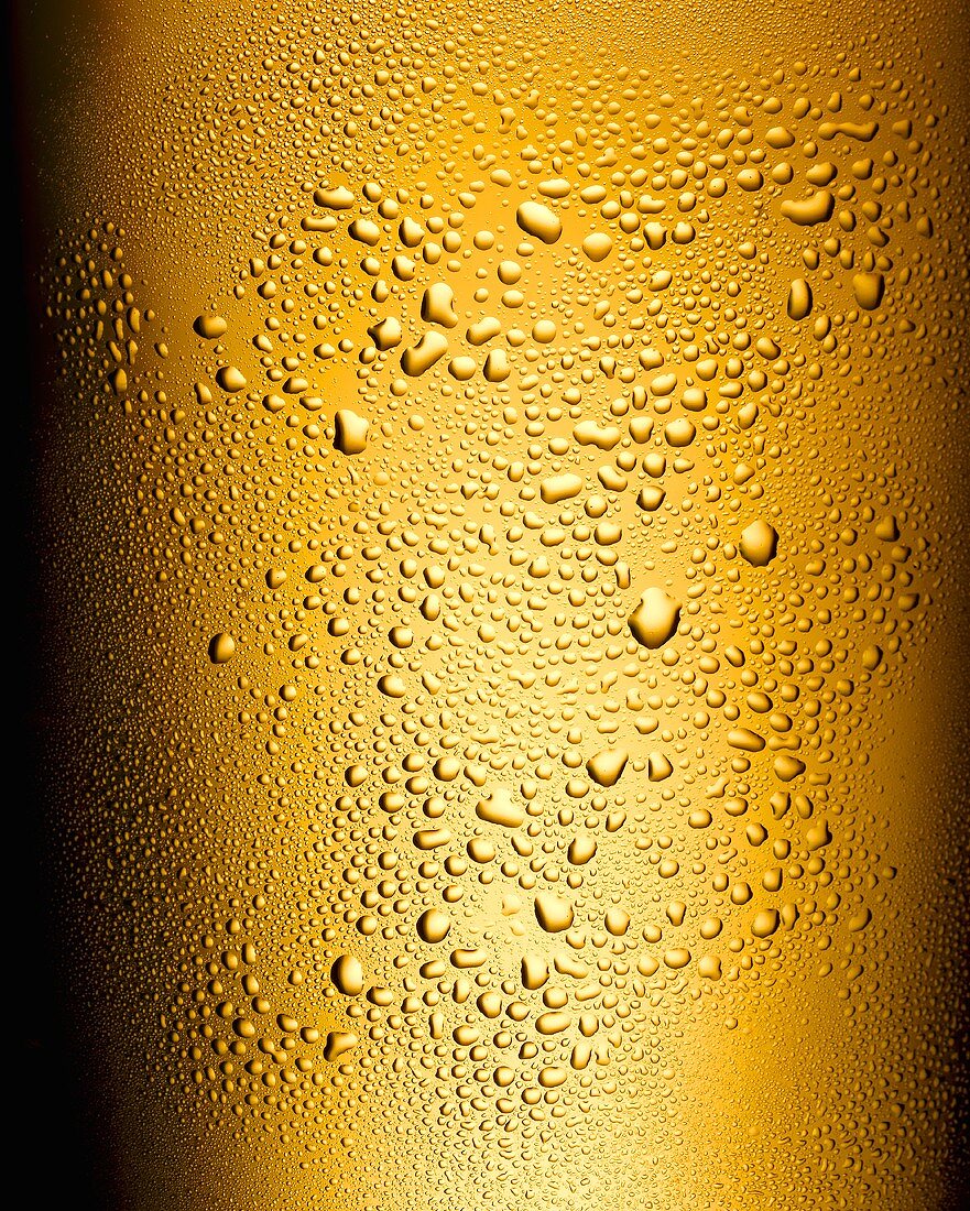 Glass of lager with condensation