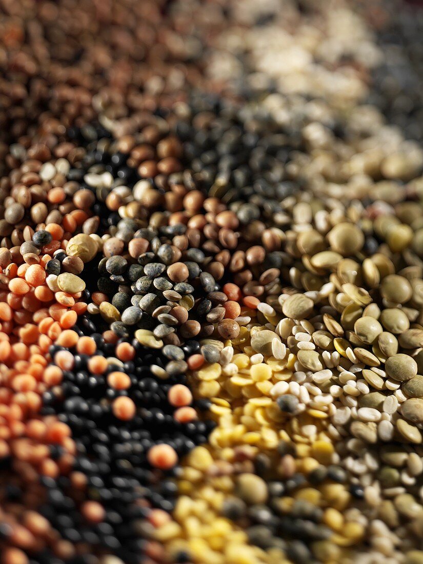 Various types of lentils