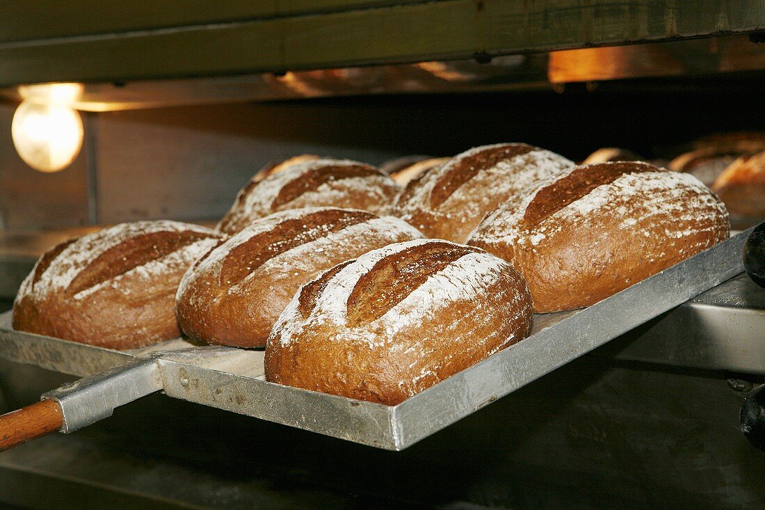Loaves of bread being taken out of the oven