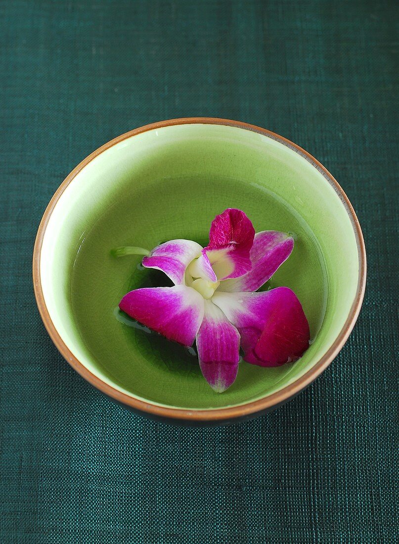 Purple orchid in bowl of water