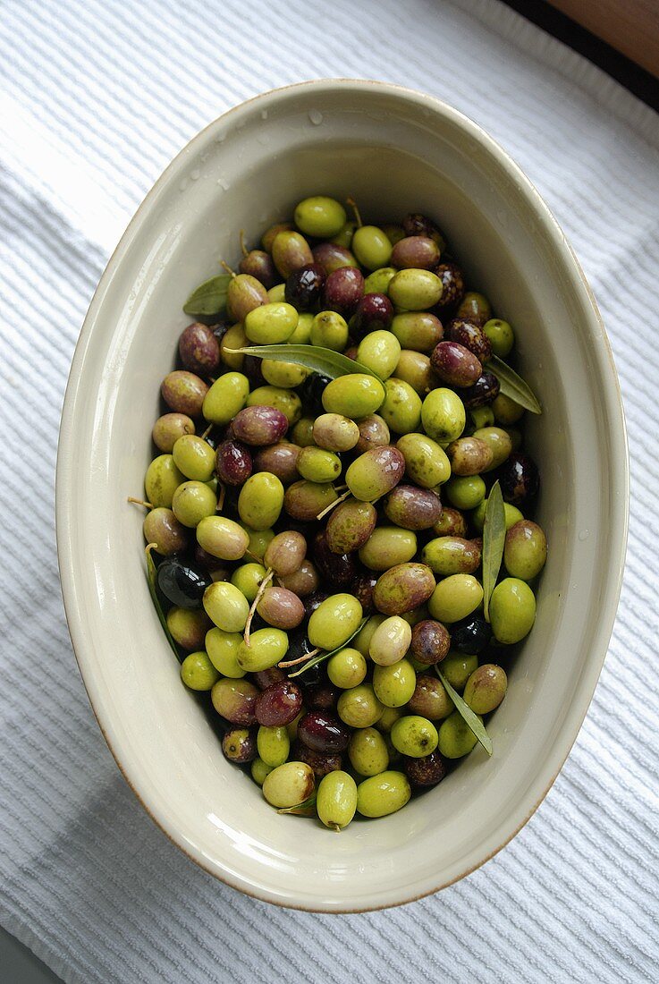 Green and black olives in an earthenware dish