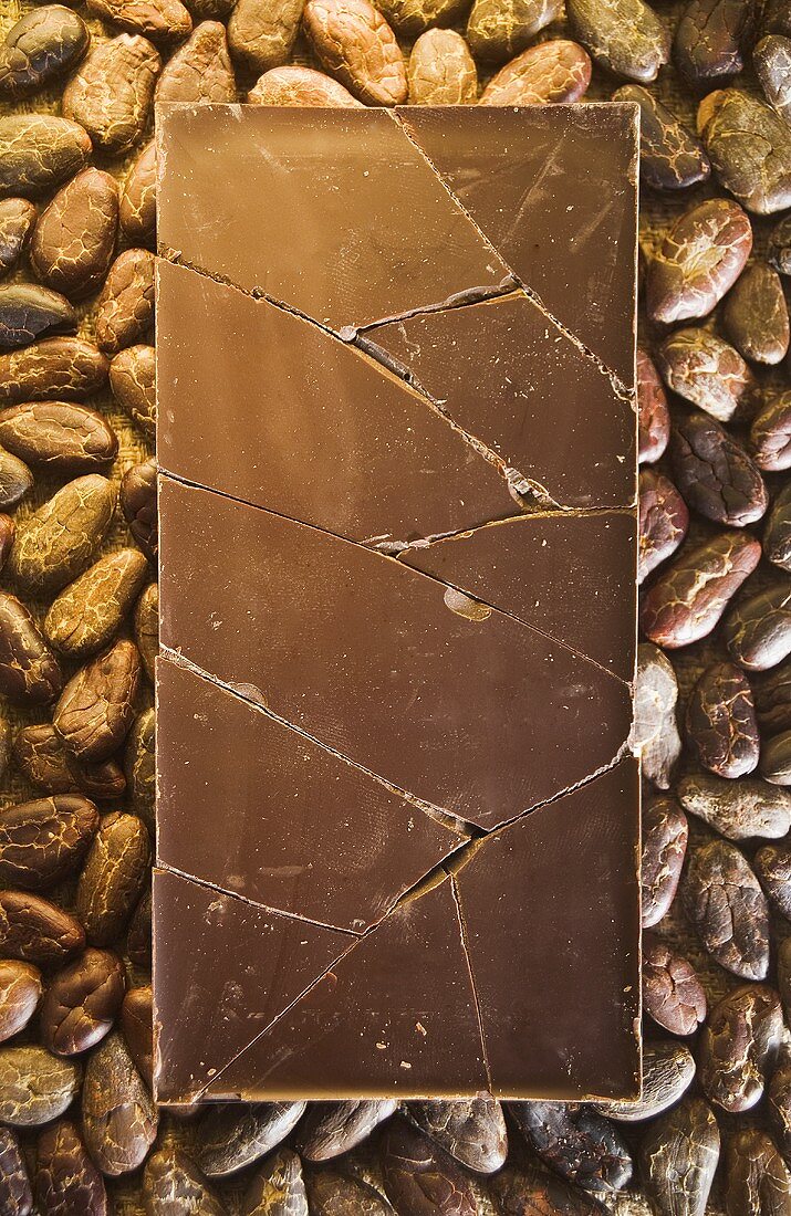 Zerbrochene Schokoladentafel auf Kakaobohnen