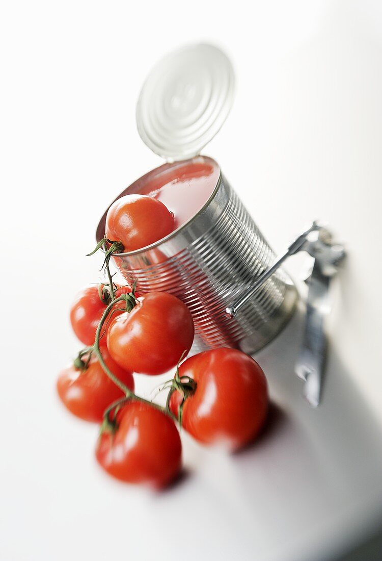 Frische Tomaten und Dose mit Tomaten