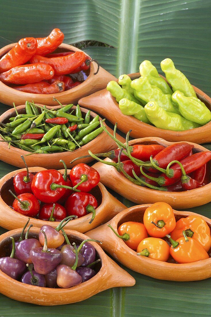 Various types of chillies