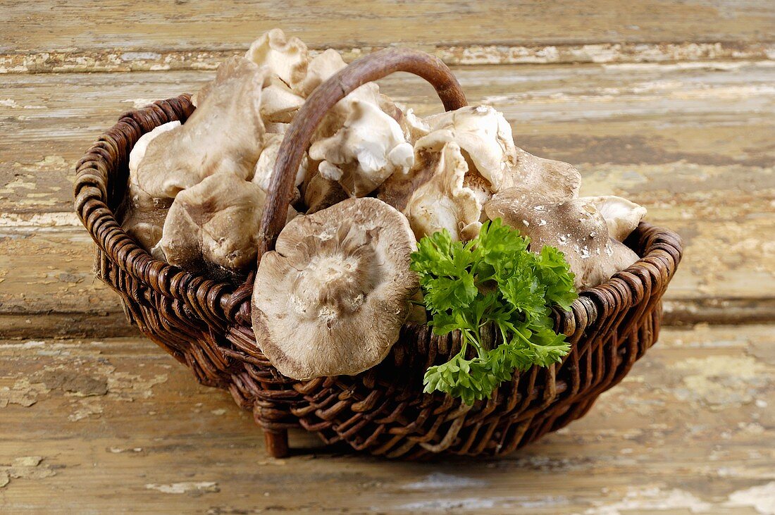 Shiitake mushrooms in a basket