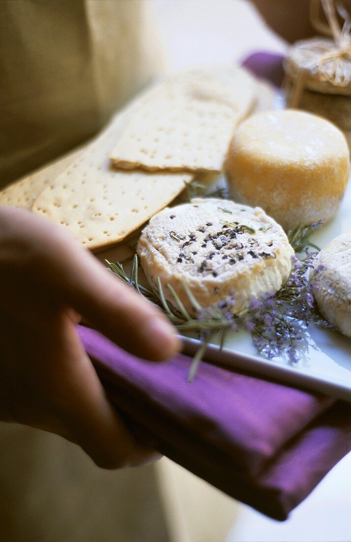 Cheese and crackers with lavender flowers