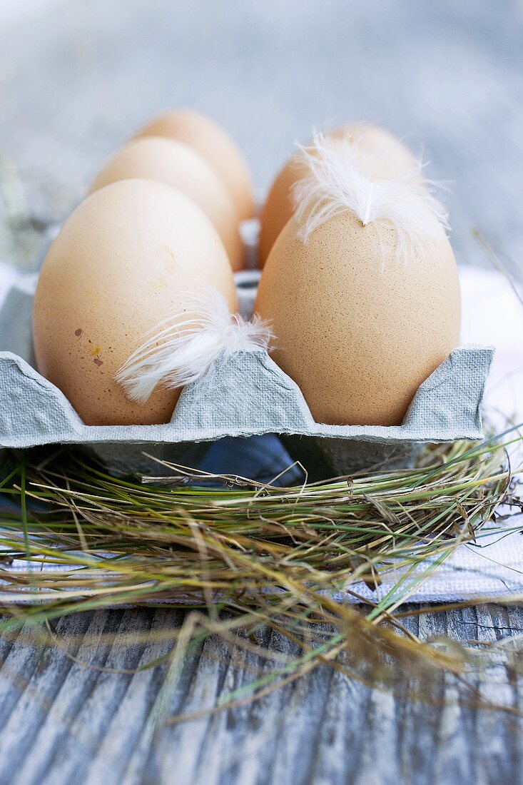 Frische Eier im Eierkarton, umgeben von Heu