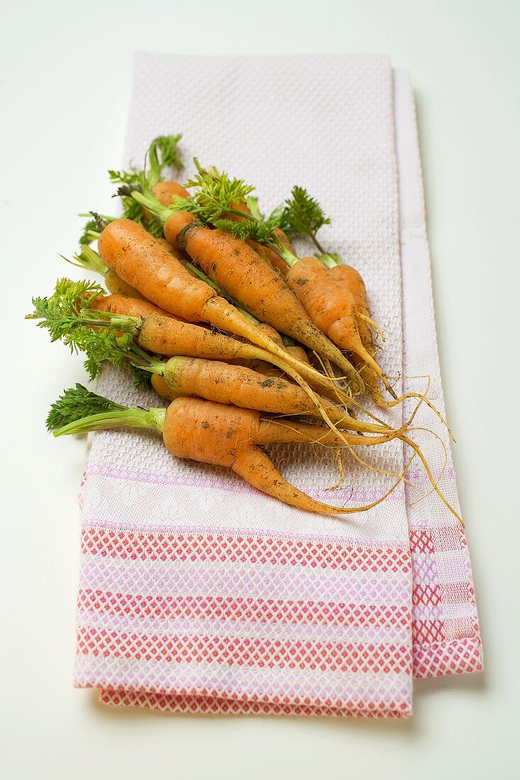 Young carrots on tea towel