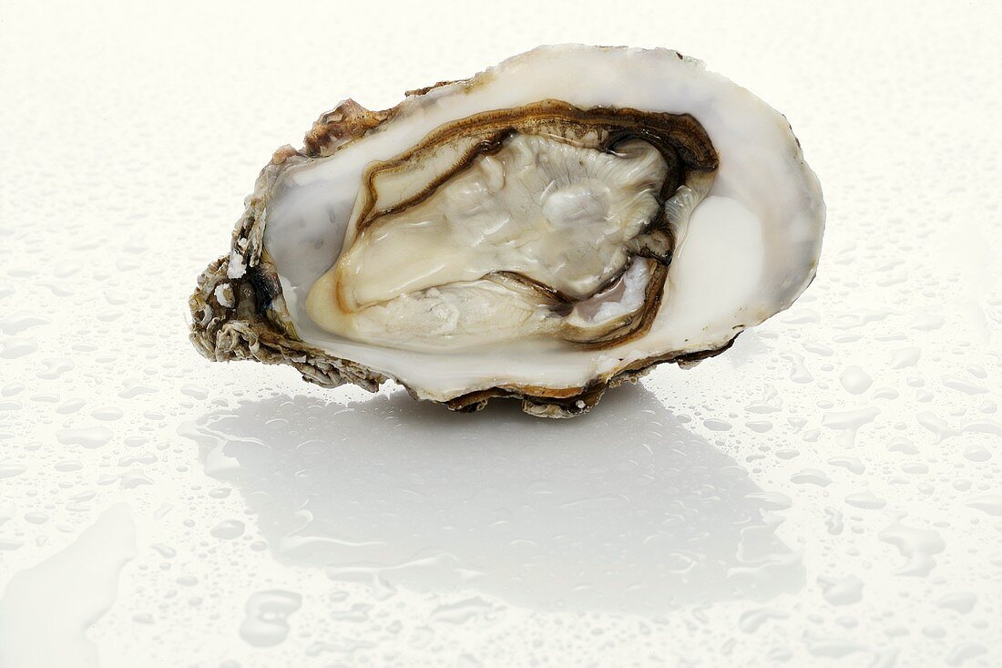 Fresh oyster with drops of water