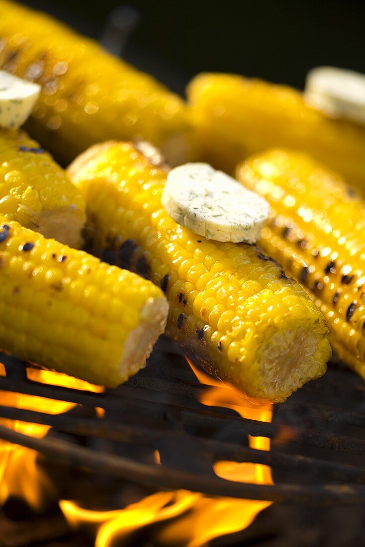 Maiskolben mit Kräuterbutter auf dem Grill