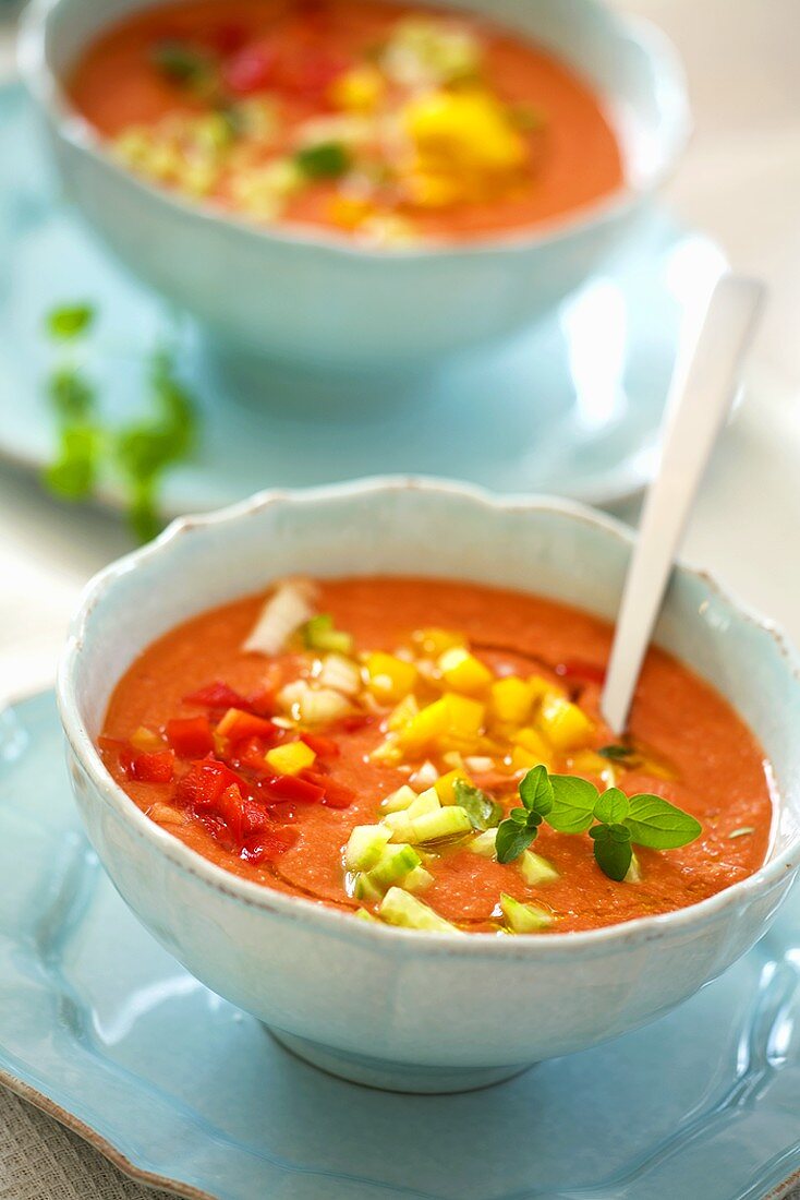 Gazpacho mit Gemüsewürfeln