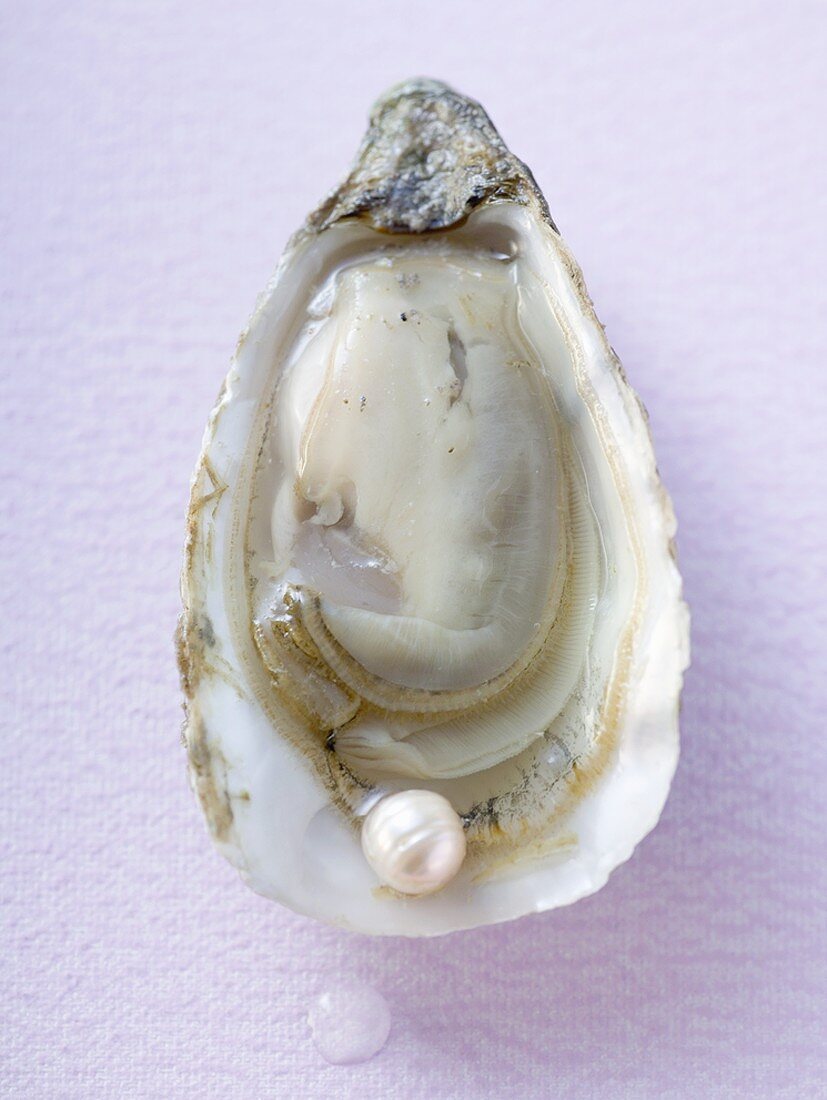 Frische Auster mit rosa Perle (Draufsicht)