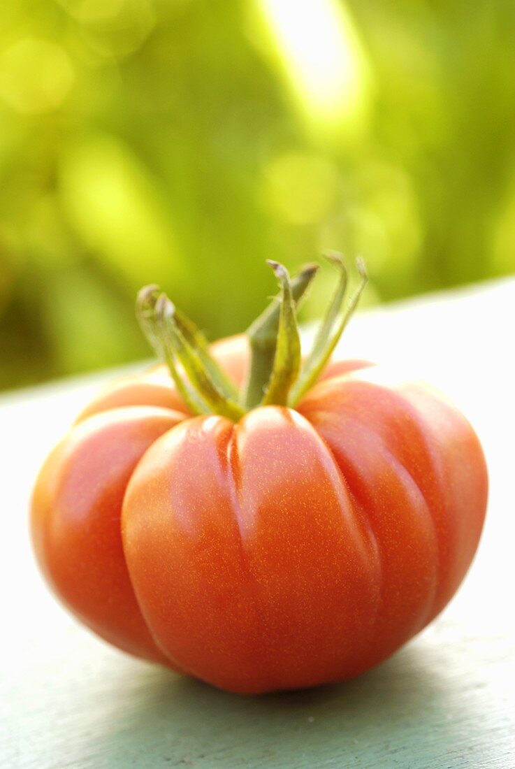 Fleischtomate auf Tisch im Freien