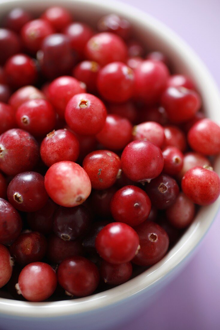 Frische Cranberries in weisser Schale (Draufsicht)