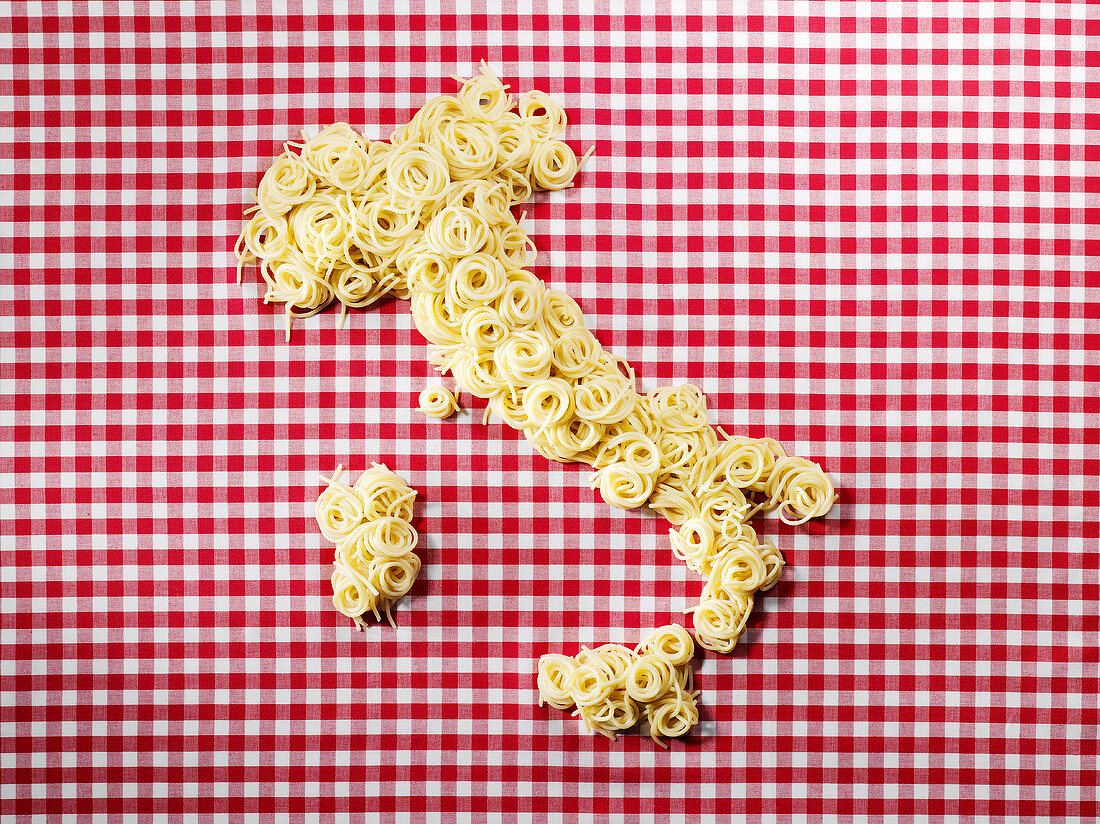 Spaghetti in the shape of the map of Italy