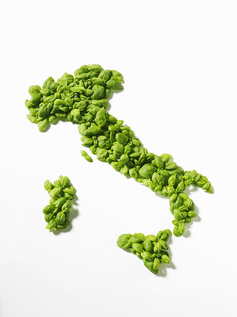 Basil in the shape of the map of Italy