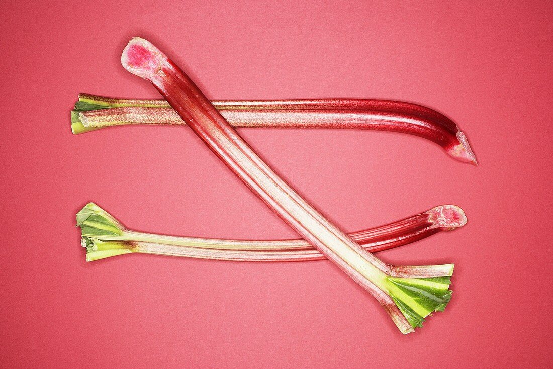 Rhubarb on red background