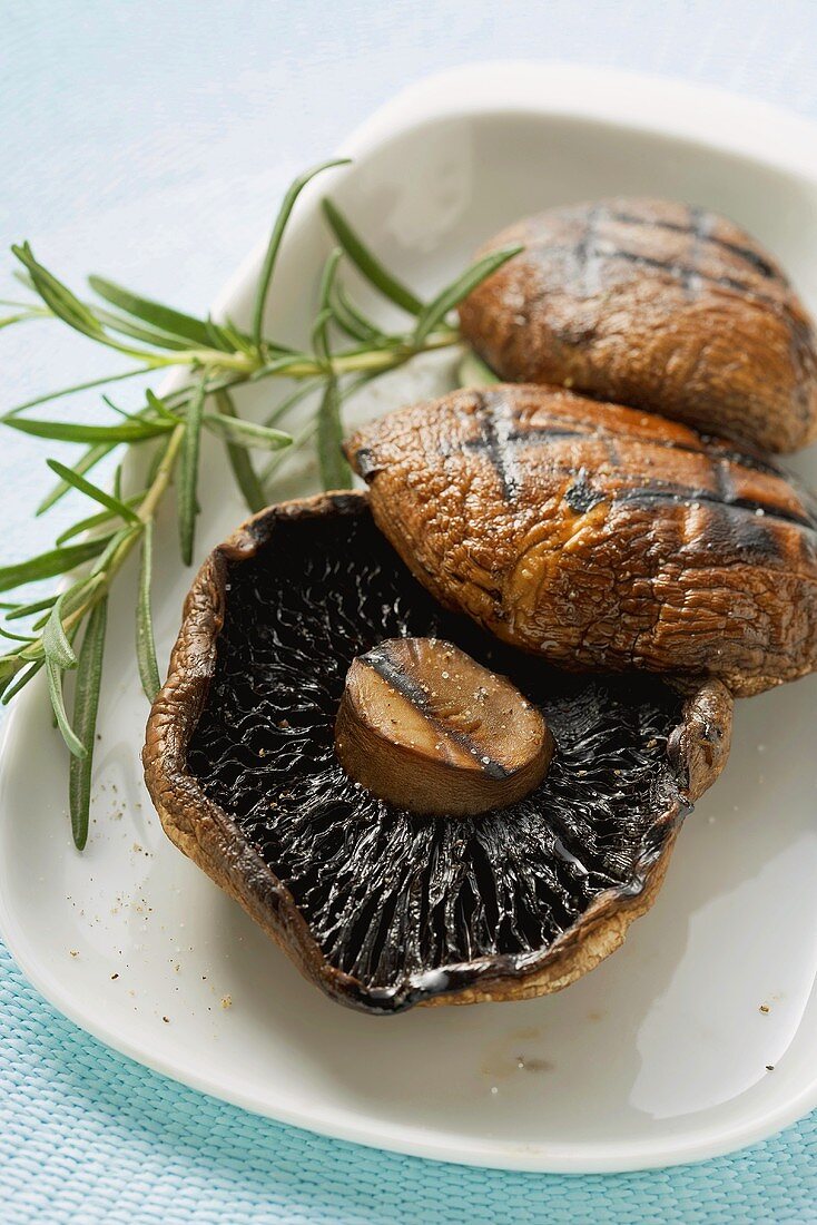 Gegrillte Portobello-Pilze mit Rosmarin