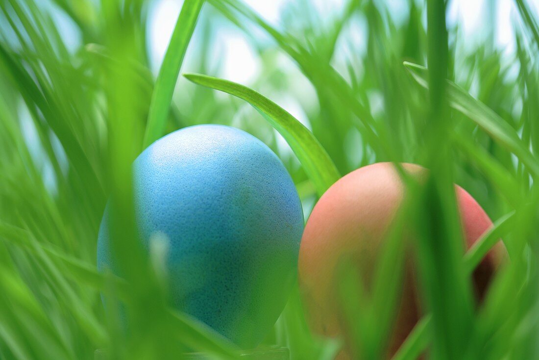 Two Easter eggs in grass
