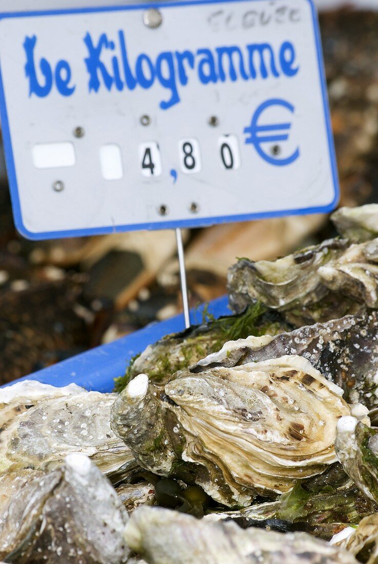 Frische Austern mit Preisschild auf einem Markt (Frankreich)