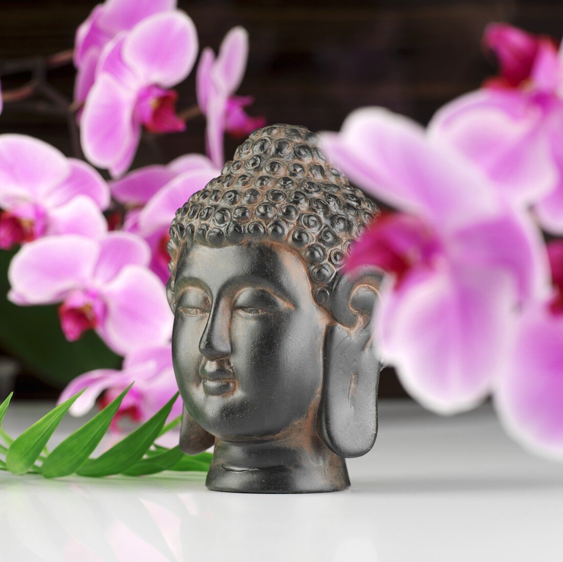 Buddhakopf vor Orchideen